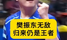 中国米兰体育-法国乒乓球队力克瑞典乒乓球队，樊振东送出助攻的简单介绍