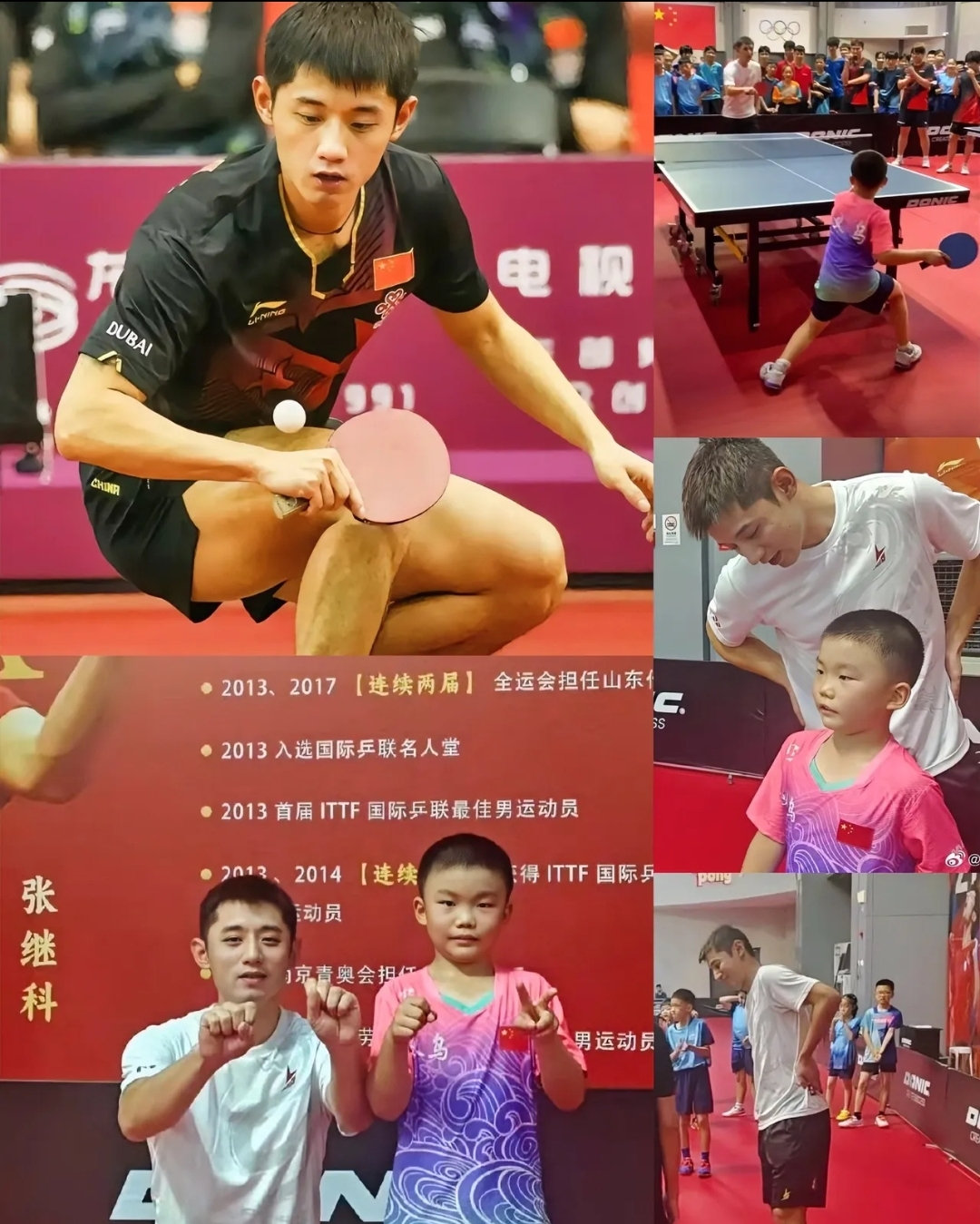 奥地利乒乓球队碾压中国乒乓球队，张继科高光表现的简单介绍