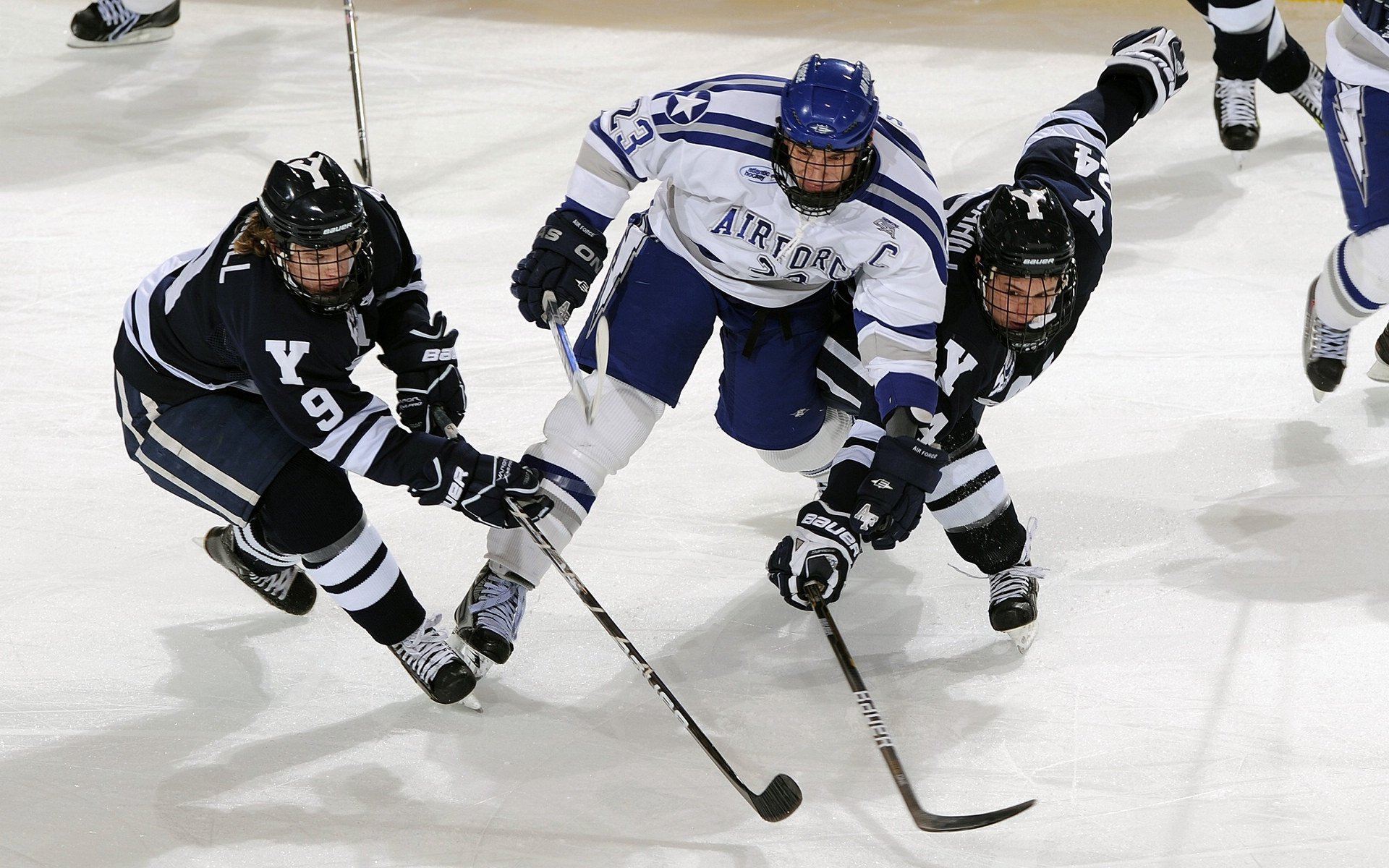 绿茵烽火与东方传奇,当德甲争冠战遇见凯尔特人巅峰对决